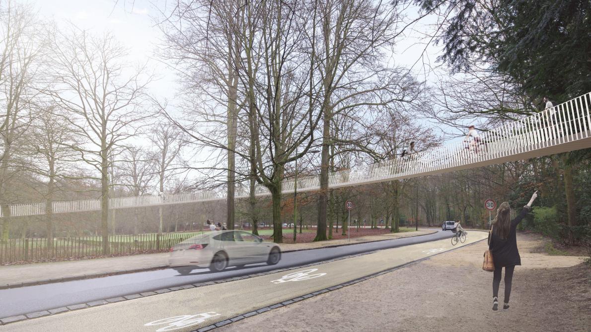 Aerial Cycle Track For Brussels Bois De La Cambre Newmobility News