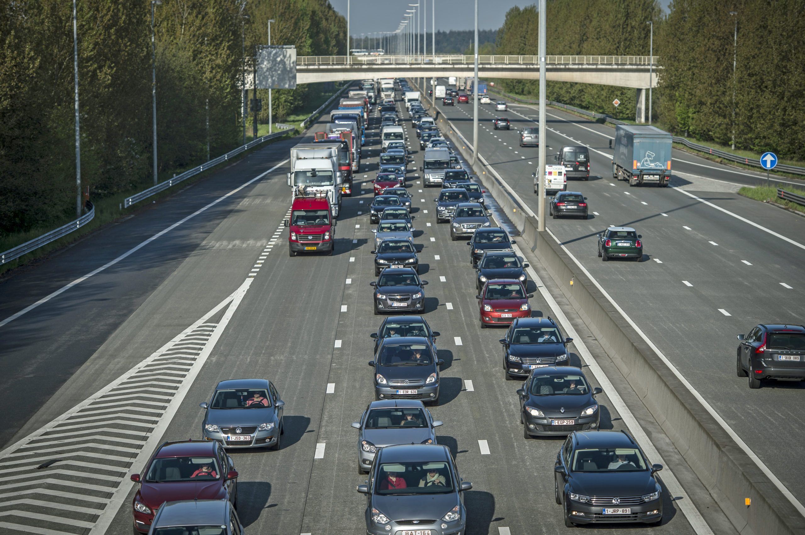 Planbureau: 'carpoolen en kilometerheffing om verkeer te verminderen'
