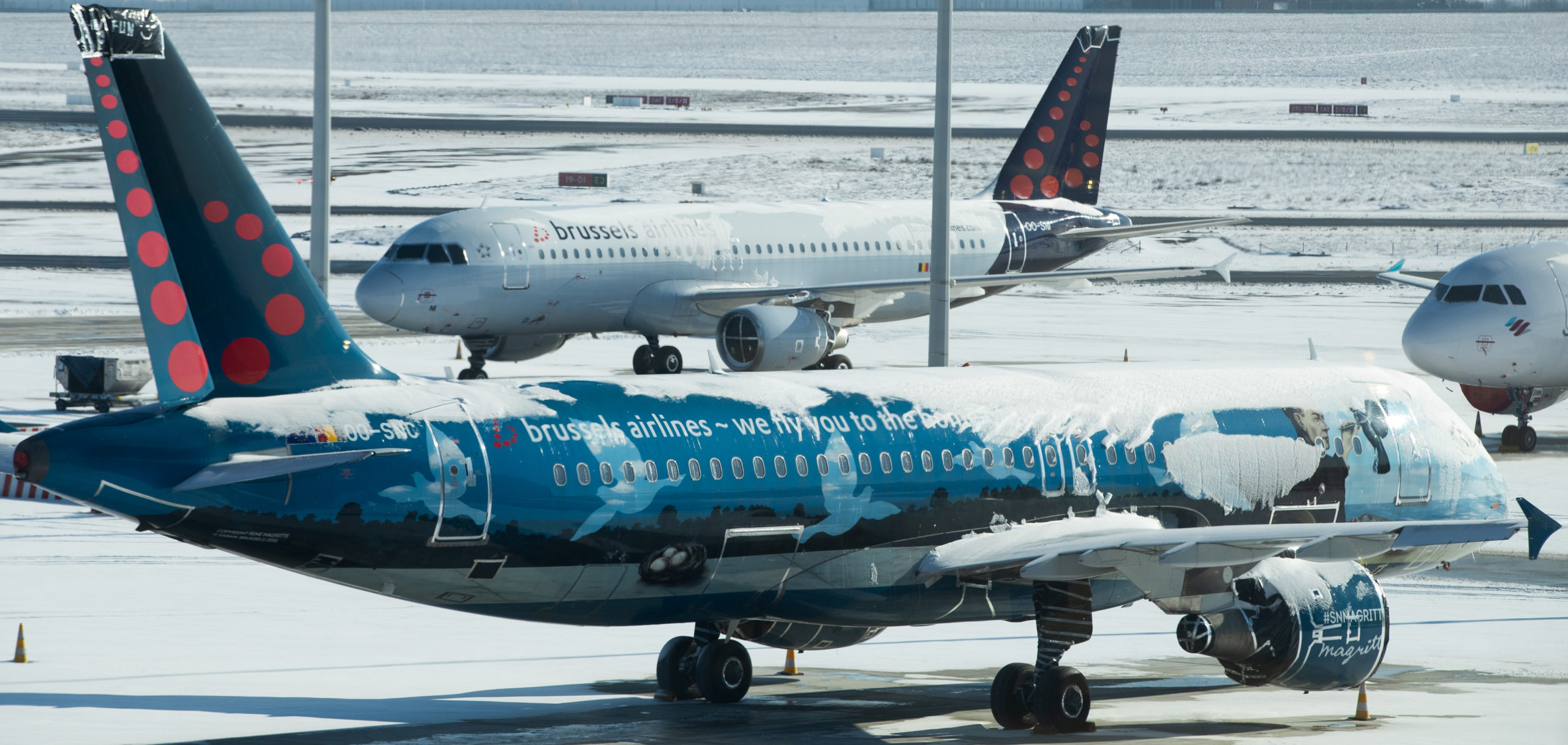 Brussels Airlines reprend ses vols vers les destinations de vacances et les États-Unis