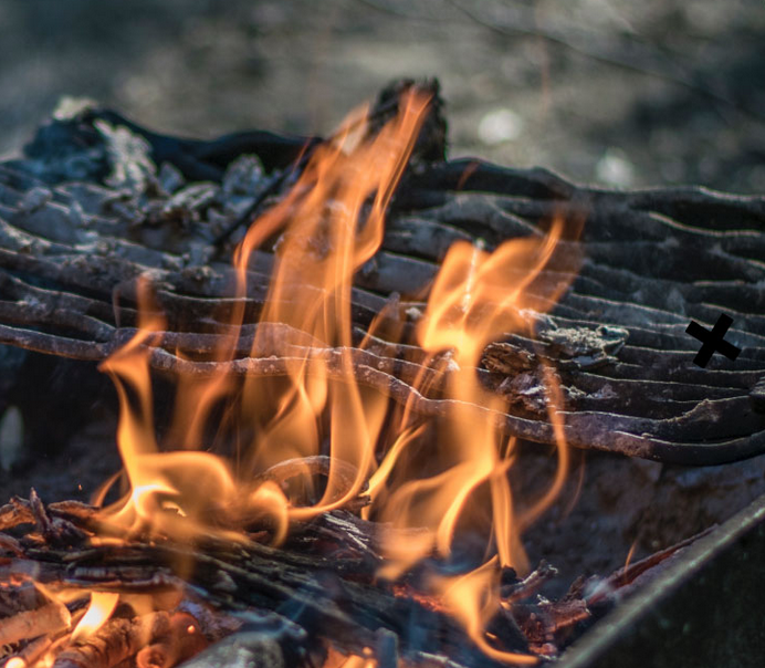 Dutch RIVM: ‘wood-burning accounts for 25% of particle emissions’