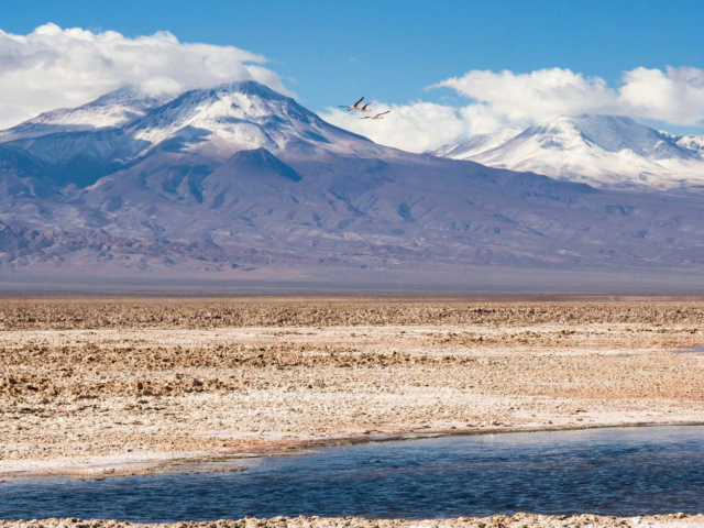 BMW joins sustainable lithium initiative