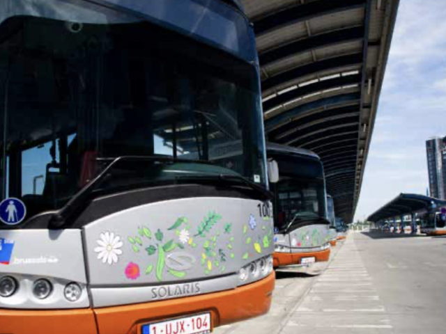 Brussels MIVB/STIB shifts up a gear for e-buses