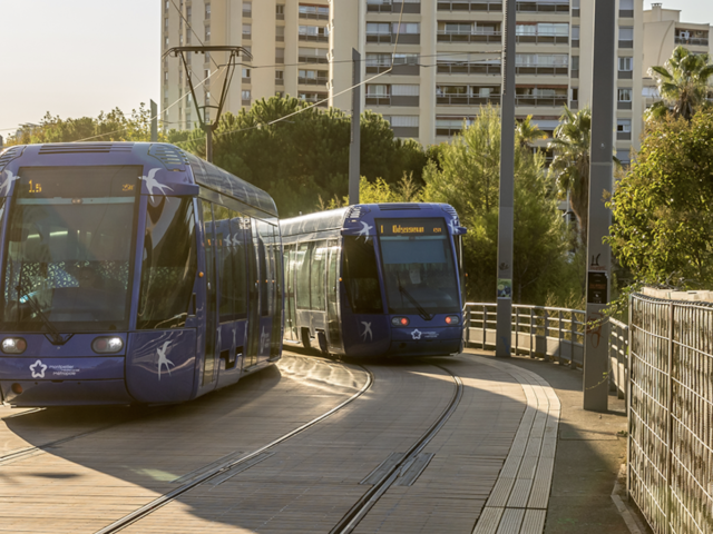 Montpellier EU’s biggest city to make public transport free of charge