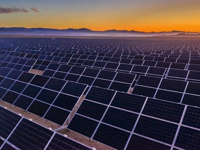 IEA: ‘World’s renewable energy capacity increased by 50%’