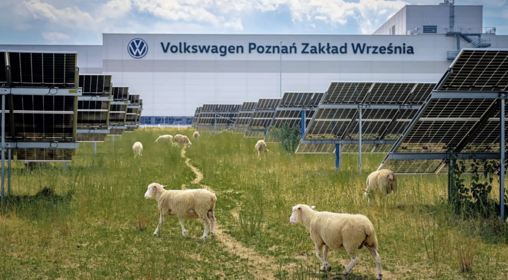 Volkswagen just replaced its lawnmowers with sheep